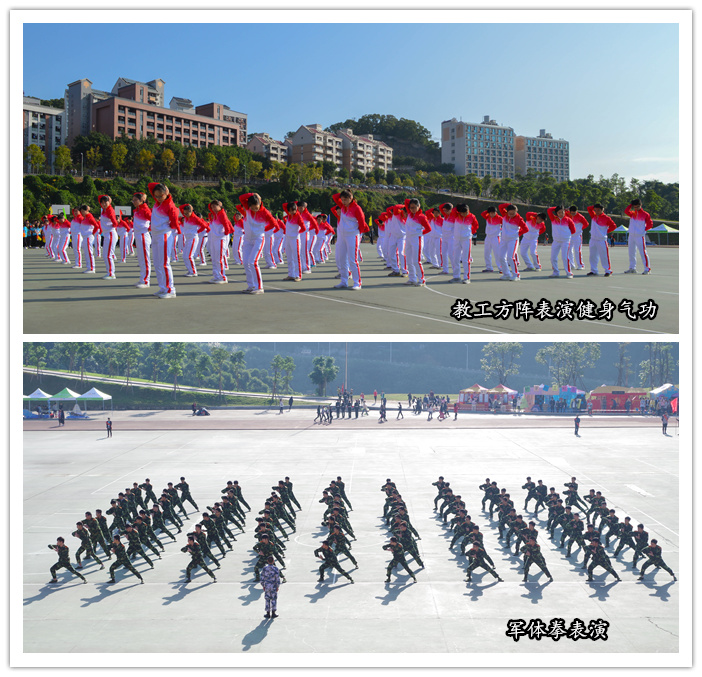 20161114其他方阵.jpg